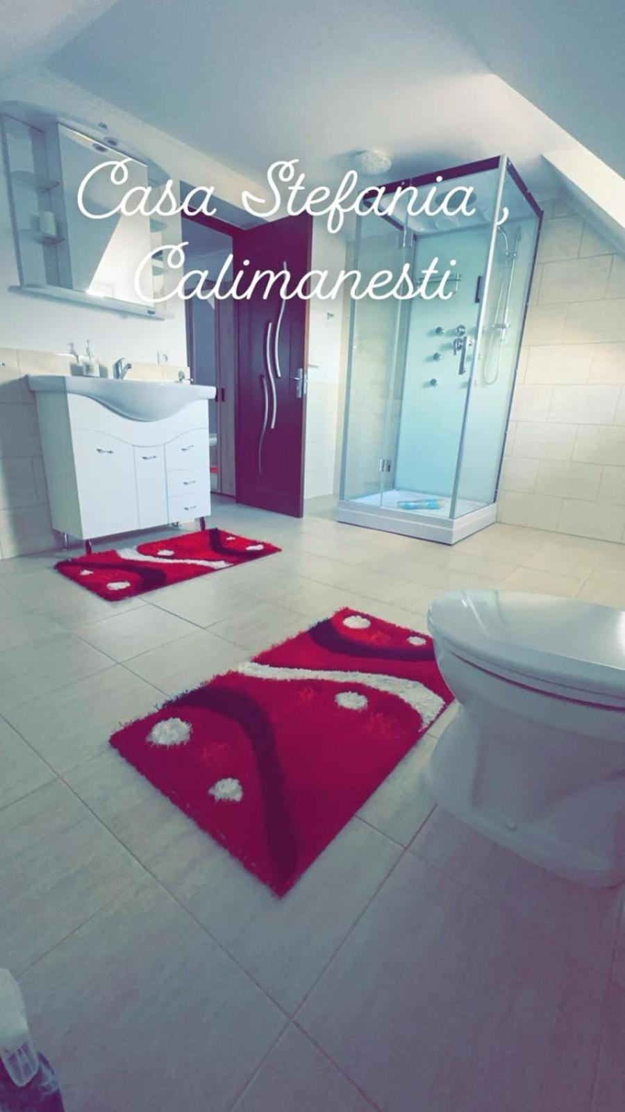 شقة Casa Stefania 1 Călimăneşti المظهر الخارجي الصورة