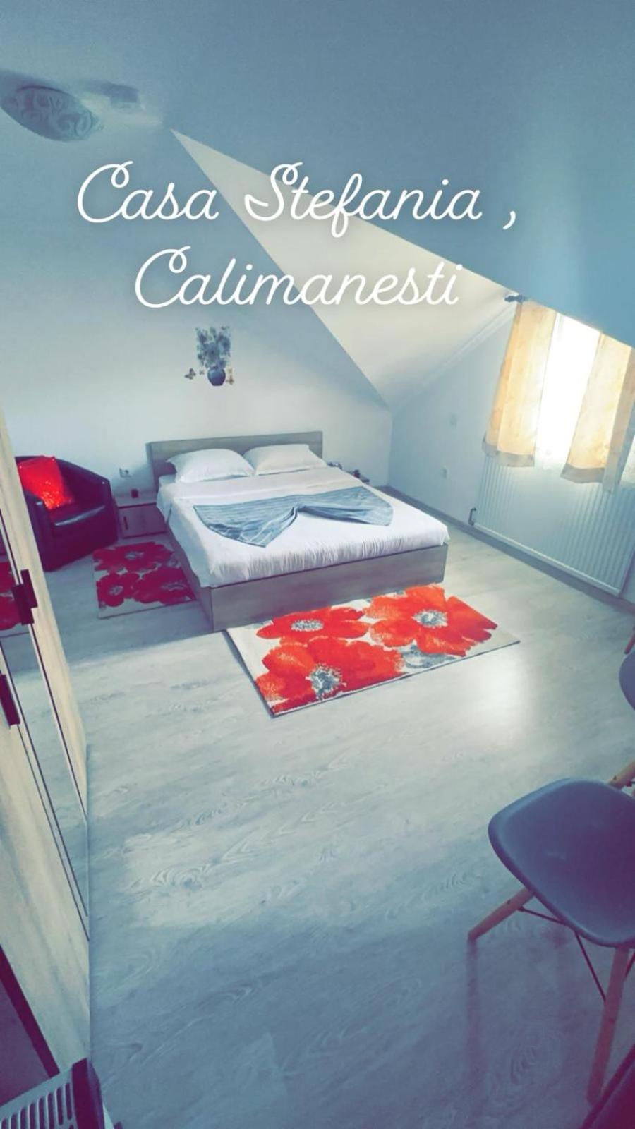 شقة Casa Stefania 1 Călimăneşti المظهر الخارجي الصورة